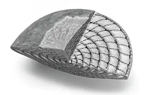 Eukaryotic Cell Structure Prints: Foraminifer model