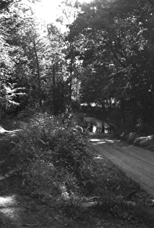 Ford, Thought to be at Danbury, Essex Ford, Thought to be at Danbury, Essex