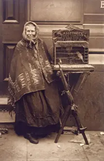 Historical Paranormal Images Prints: Fortune Teller & Bird