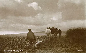 Four-horse Ploughing team at work - South Downs, East Sussex Four-horse Ploughing team at work - South Downs, East Sussex