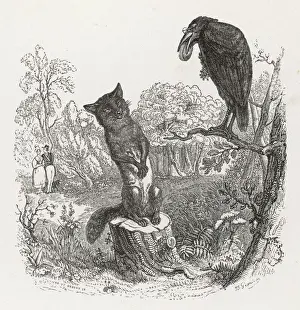 Prints of The cunning fox is able to trick the crow into dropping the cheese from her beak by implying that she cannot sing Crows And Jays Prints: The Fox and the Crow Print
