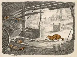 Fox in Farmyard Print C1870