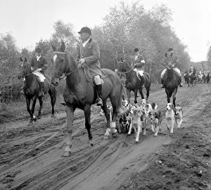 Vintage Fox Hunting Images Prints: Fox hunting