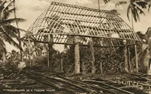 Pacific Island Architecture Prints: Framework of a Tongan House