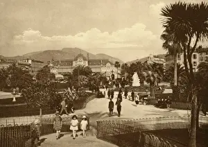 Prints of Jardin du roi Albert I Date: 1919 Nice Prints: France Nice Jardin du roi Albert I Print 1919