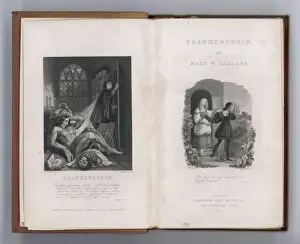Vintage Literary Artwork Prints: Frankenstein
