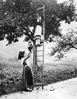 French Fruit Pickers Print, 1930s