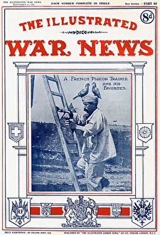 French Pigeon Trainer, Illustrated War News, WW1 French Pigeon Trainer, Illustrated War News, WW1