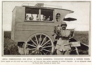 French regimental pigeonnier releasing a carrier pigeon French regimental pigeonnier releasing a carrier pigeon