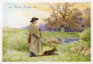 French Shepherd Prints: French Shepherd