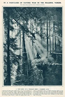 A French soldier seated in the idyllic surroundings of the Vosges region of eastern A French soldier seated in the idyllic surroundings of the Vosges region of eastern