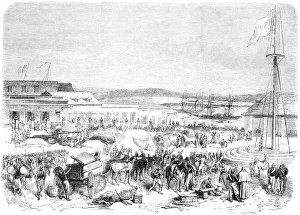 French troops at Tampico French troops at Tampico