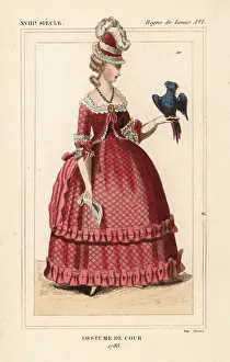 French woman in court costume with parrot French woman in court costume with parrot