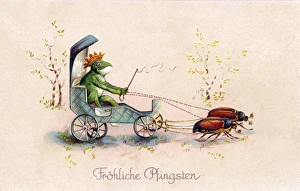 Frog driving coach on a German Whitsuntide postcard Frog driving coach on a German Whitsuntide postcard