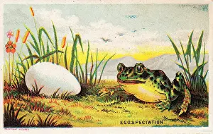 Late Victorian Humour Prints: Frog and egg on a comic card