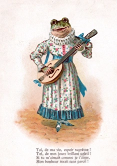 Frog playing a mandolin on a French postcard Frog playing a mandolin on a French postcard