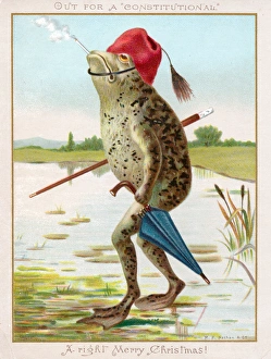 Frog with umbrella and smoking cap on a Christmas card Frog with umbrella and smoking cap on a Christmas card