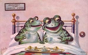 Two frogs in bed on a greetings postcard Two frogs in bed on a greetings postcard