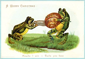 Two frogs fighting over a snail on a Christmas card Two frogs fighting over a snail on a Christmas card