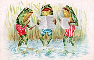 Three frogs learning how to swim on a greetings postcard Three frogs learning how to swim on a greetings postcard