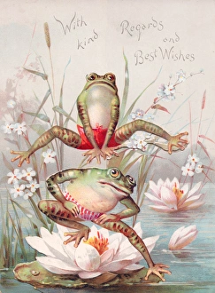 Two frogs playing leapfrog on a greetings card Two frogs playing leapfrog on a greetings card