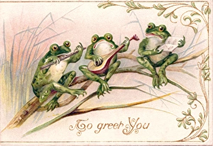 Three frogs playing music on a greetings postcard Three frogs playing music on a greetings postcard