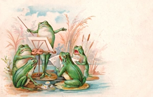 Four frogs playing and singing on a greetings postcard Four frogs playing and singing on a greetings postcard