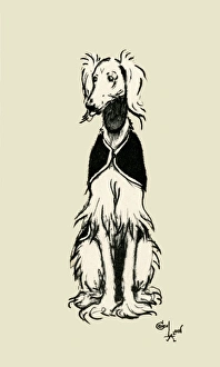 Frontispiece illustration by Cecil Aldin, an Afghan Hound Frontispiece illustration by Cecil Aldin, an Afghan Hound