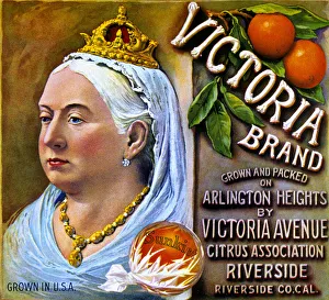 Fruit Box Label, Victoria Brand California Oranges Fruit Box Label, Victoria Brand California Oranges
