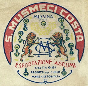 Fruit Label -- S Musmeci Costa, Messina, Sicily Fruit Label -- S Musmeci Costa, Messina, Sicily