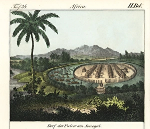Fulier village in Senegal, showing rows of Fulier village in Senegal, showing rows of