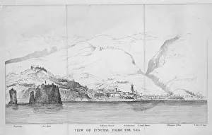 Funchal Madeira Prints: Funchal Madeira C19Th