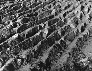 Vintage Farm Equipment UK Prints: THE FURROWED EARTH