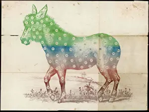 Prints of Template for the game Donkey Prints: Donkey Pin Tail Print