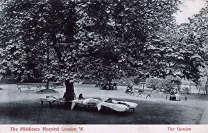 Garden of the Middlesex Hospital, Mortimer Street, London Garden of the Middlesex Hospital, Mortimer Street, London