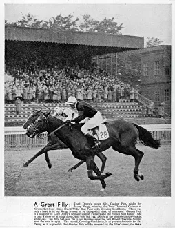 Garden Path winning the Two Thousand Guineas at Newmarket Garden Path winning the Two Thousand Guineas at Newmarket
