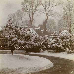 Front garden in the snow, Ealing, West London Front garden in the snow, Ealing, West London