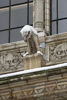Prints of One of the many gargoyles which adorn the exterior of the Natural History Museum, London Alfred Waterhouse Prints: Natural History Museum Gargoyle Print, London