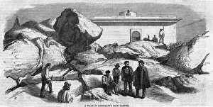 Italian History Figures Prints: Garibaldi at Caprera - 2