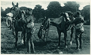 Gas-masked horse and horseman at Aldershot Gas-masked horse and horseman at Aldershot
