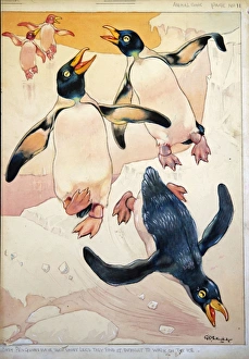 George Ernest Studdy, baby penguins on ice George Ernest Studdy, baby penguins on ice