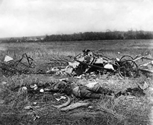 German Albatros plane brought down, WW1 German Albatros plane brought down, WW1