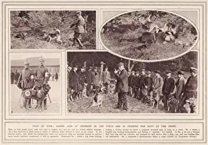Western Front War Prints: German War Dogs