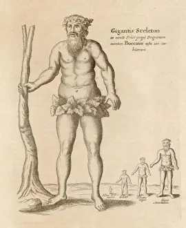 Prints of The skeleton of this huge gentleman was found at Trapani, Sicily, by Boccatio. He measured 400 feet (121m) though this would not be anatomically possible Trapani Prints: Giant of Trapani Print: Anatomically impossible skeleton measuring 400 feet