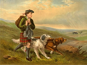 Gillie boy with dogs on grouse shoot, Scotland Gillie boy with dogs on grouse shoot, Scotland