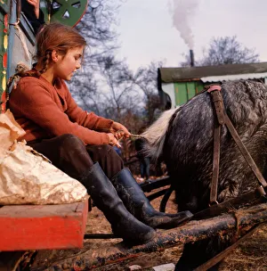 Gipsy girl plaiting horses tail at an encampment in Surrey Gipsy girl plaiting horses tail at an encampment in Surrey