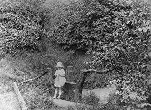 Girl on a Stile 1930S Girl on a Stile 1930S