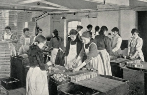 Girls filling penny tins of mustard, Norwich, Norfolk Girls filling penny tins of mustard, Norwich, Norfolk