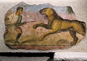 Historical Roman Artwork Prints: Gladiator fighting against a beast