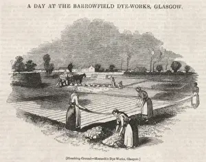 Glasgow Bleaching Ground Print